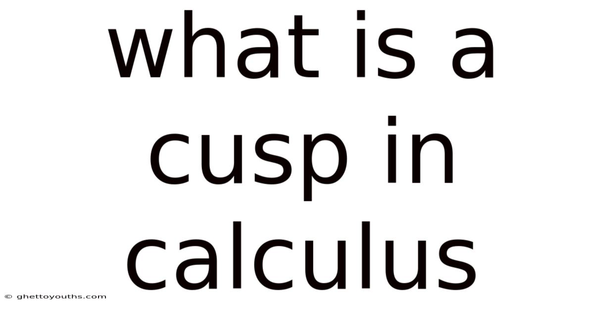 What Is A Cusp In Calculus