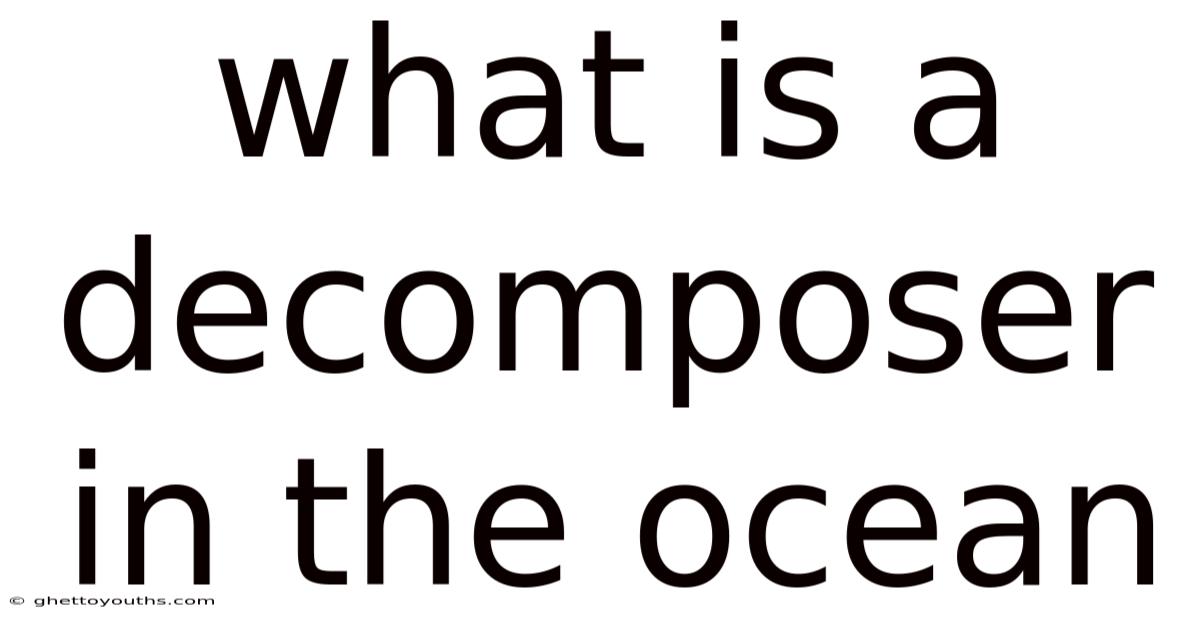 What Is A Decomposer In The Ocean