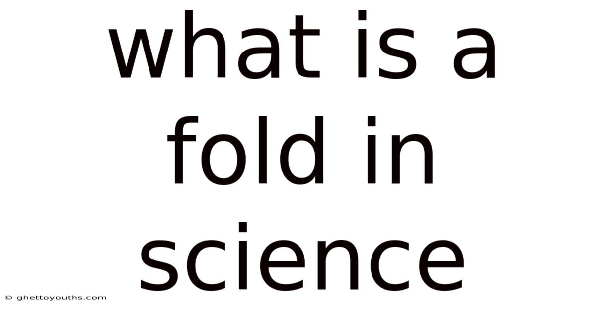 What Is A Fold In Science