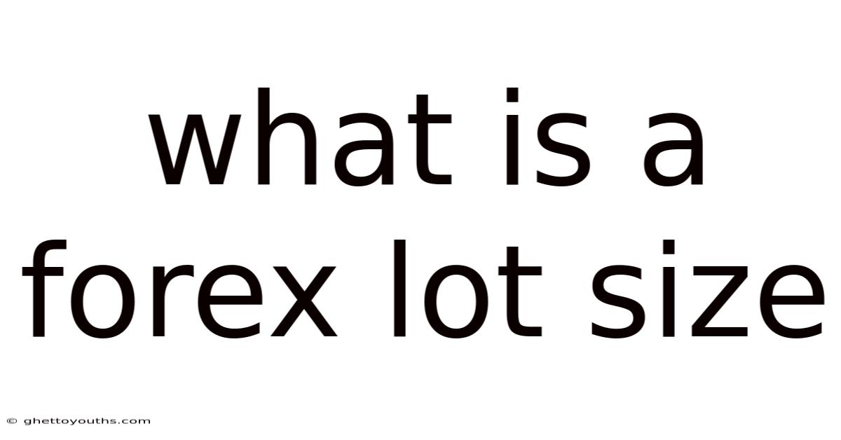 What Is A Forex Lot Size