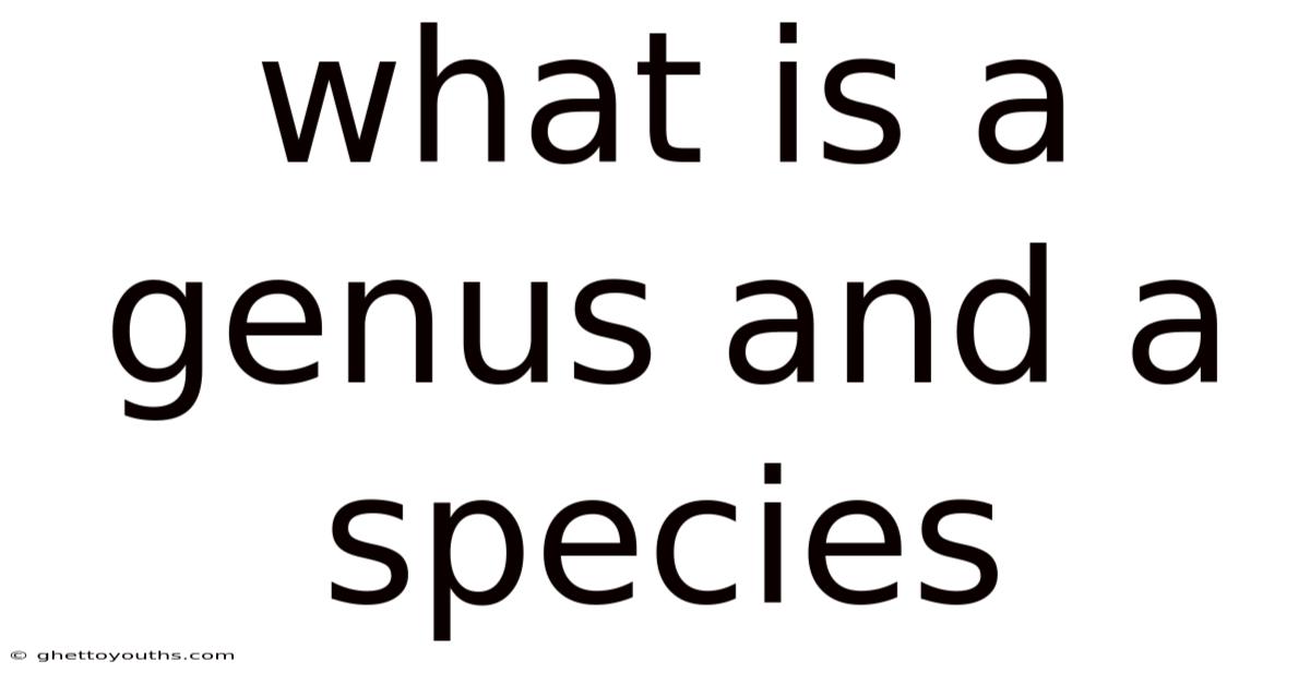 What Is A Genus And A Species