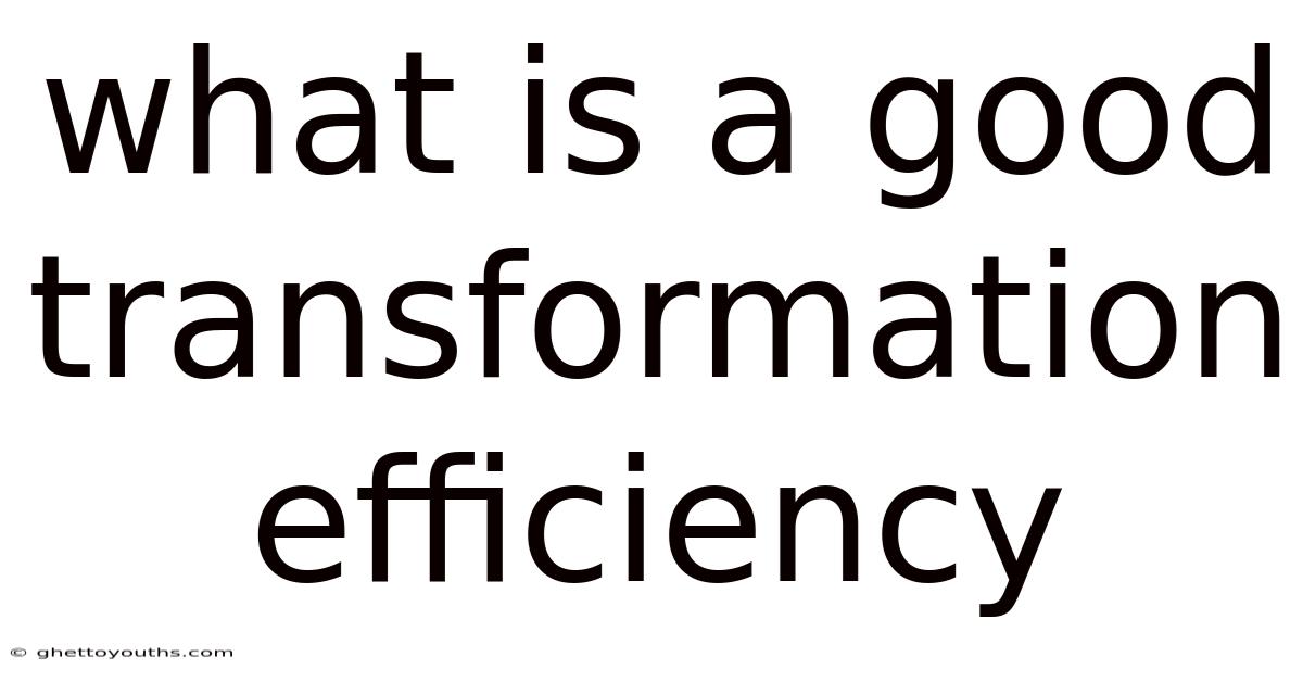 What Is A Good Transformation Efficiency