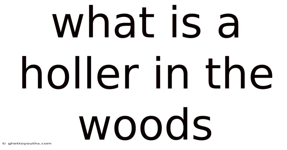 What Is A Holler In The Woods