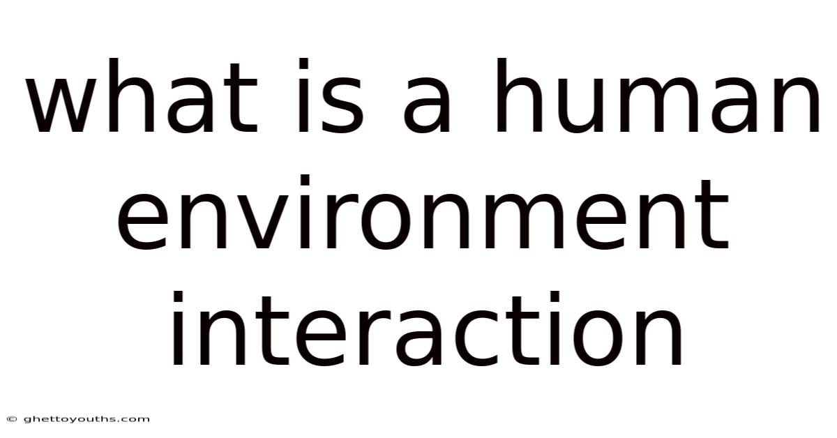 What Is A Human Environment Interaction