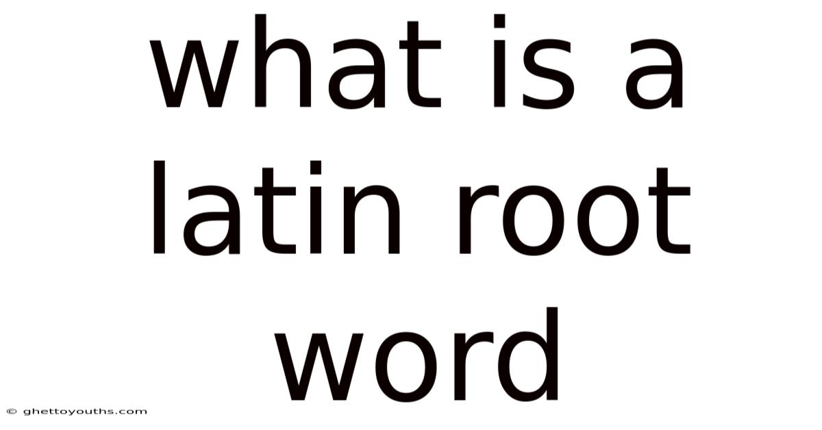 What Is A Latin Root Word