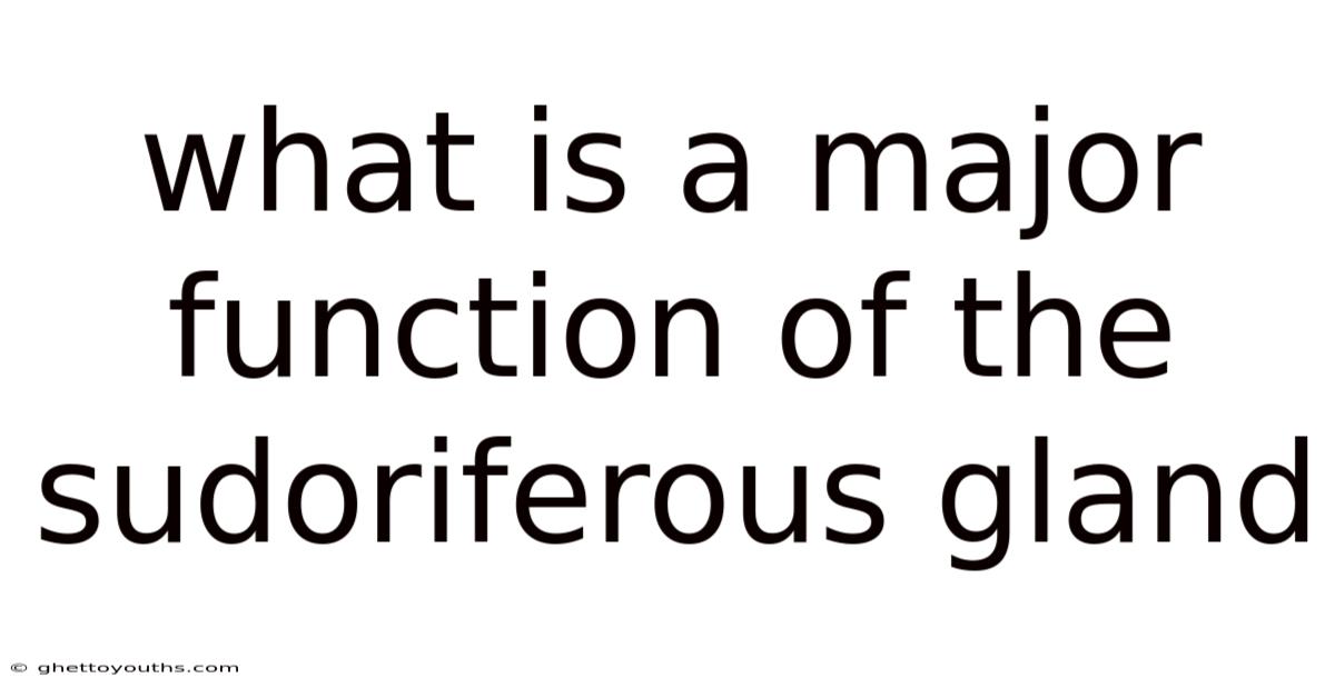 What Is A Major Function Of The Sudoriferous Gland