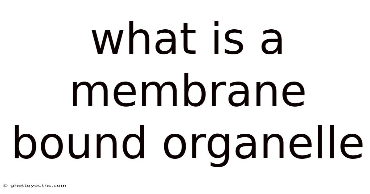 What Is A Membrane Bound Organelle