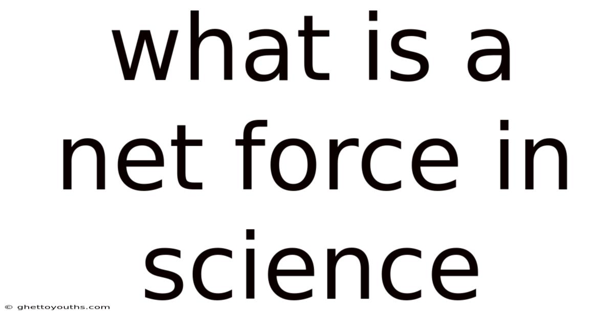 What Is A Net Force In Science