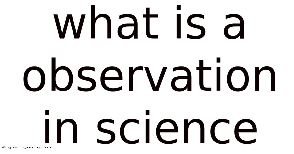 What Is A Observation In Science