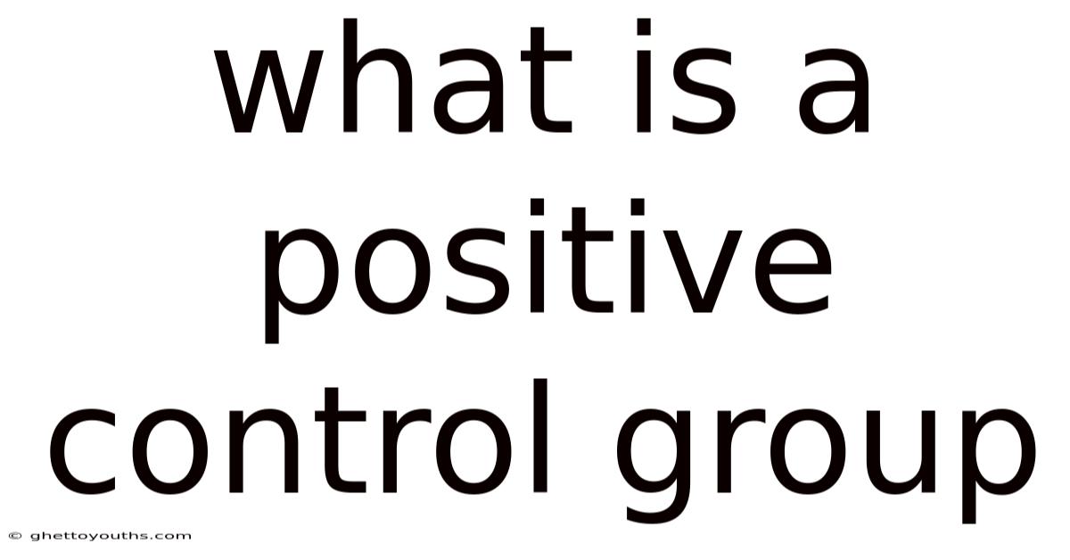 What Is A Positive Control Group