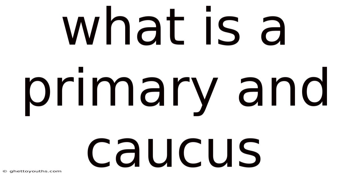 What Is A Primary And Caucus