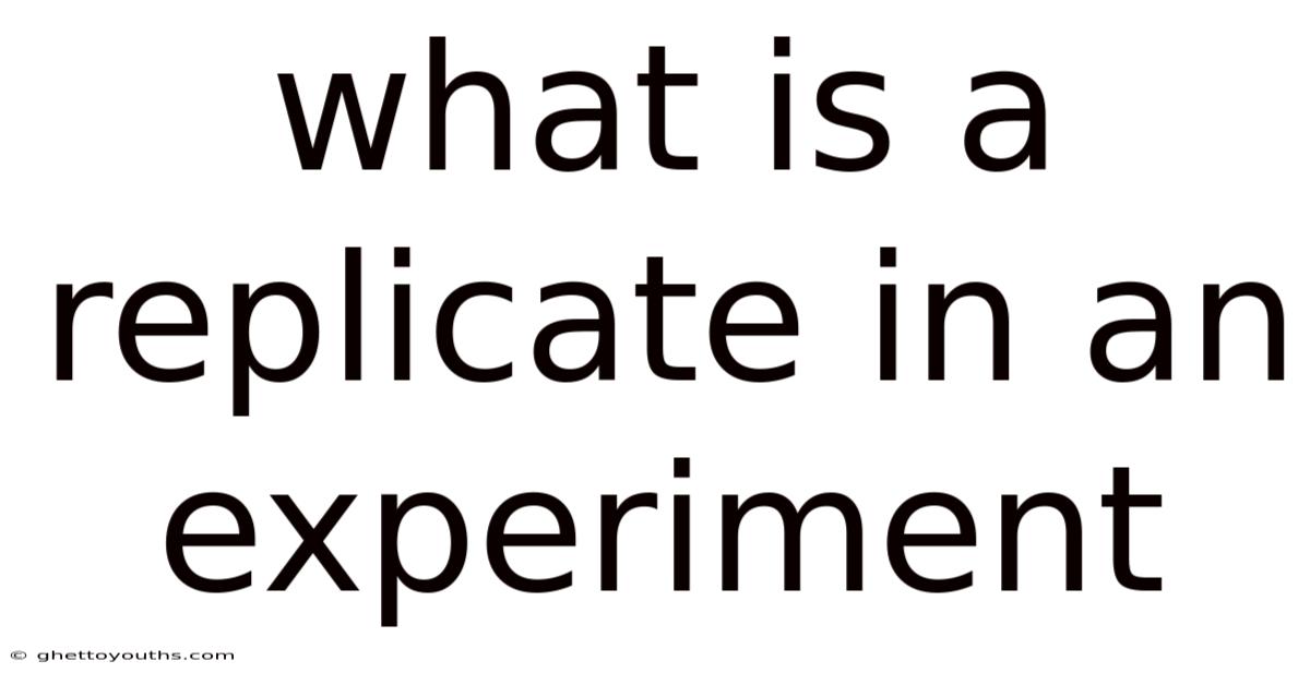 What Is A Replicate In An Experiment
