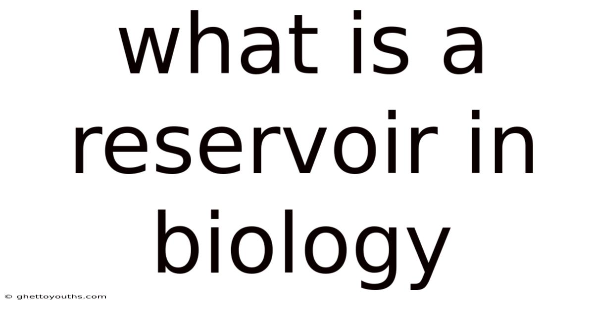 What Is A Reservoir In Biology