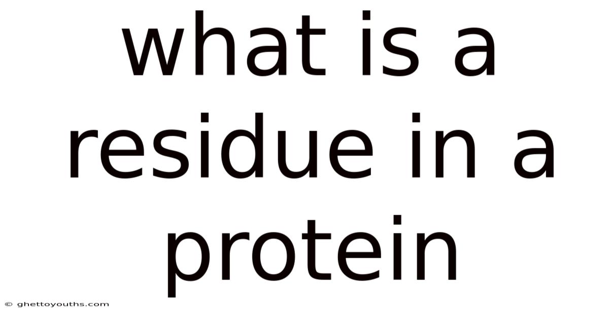 What Is A Residue In A Protein