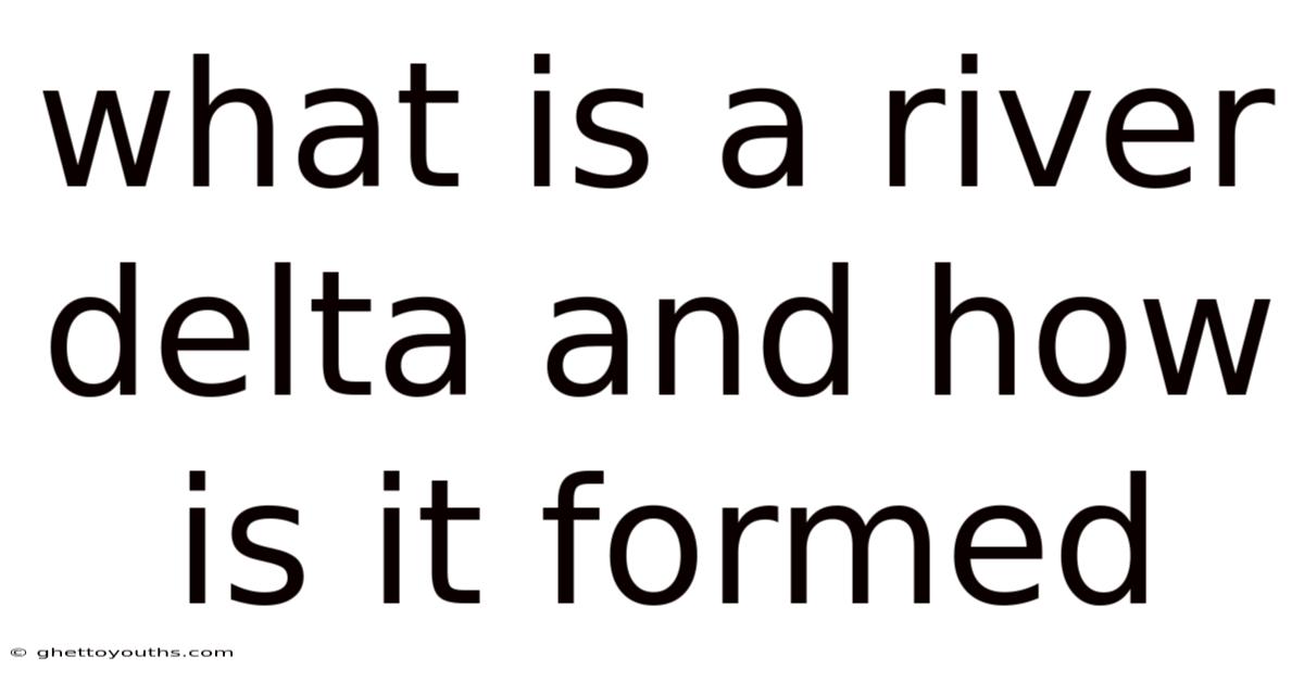 What Is A River Delta And How Is It Formed