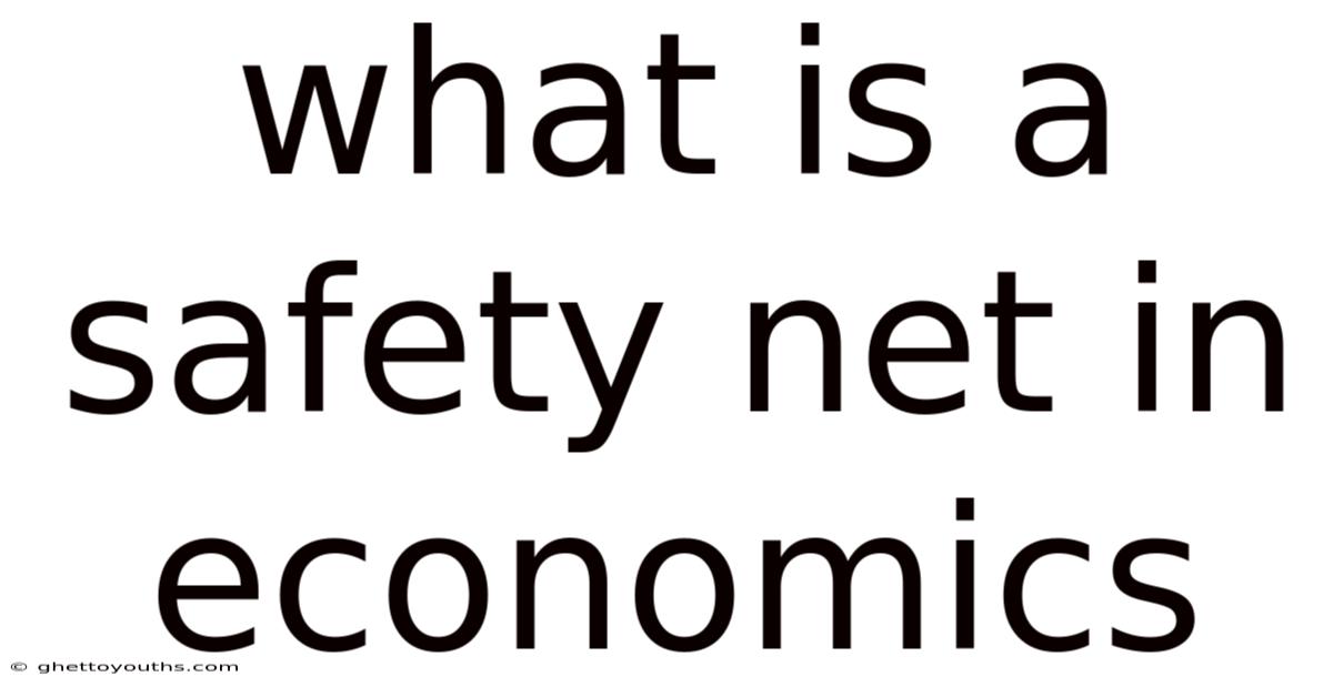 What Is A Safety Net In Economics