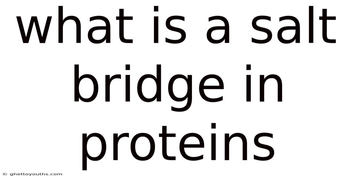 What Is A Salt Bridge In Proteins