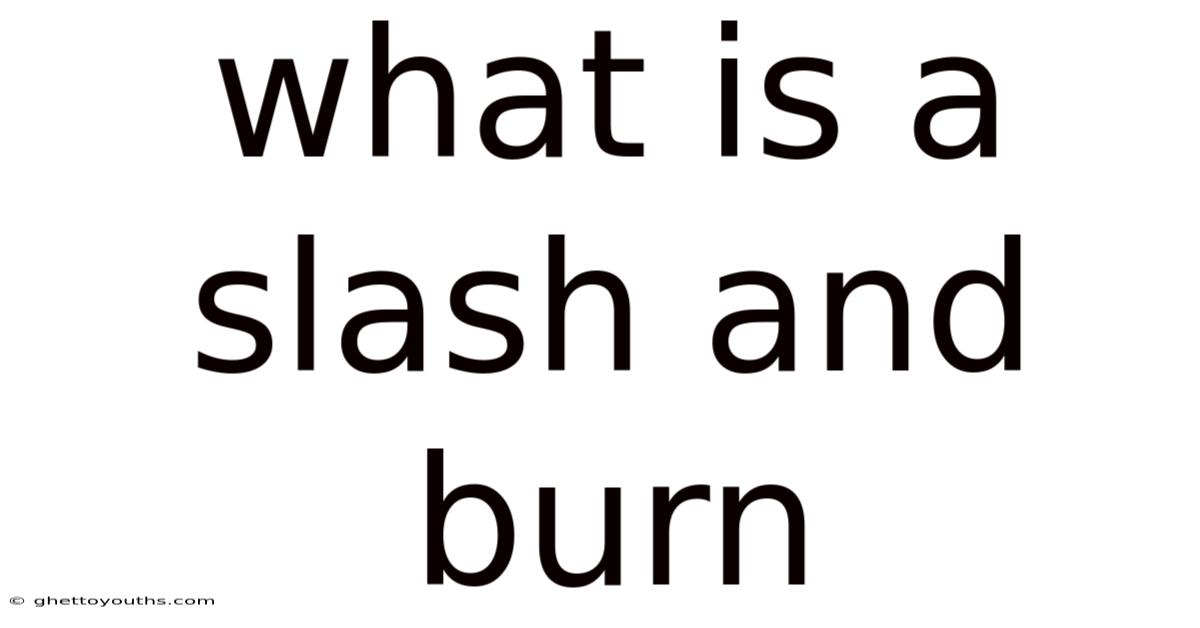 What Is A Slash And Burn