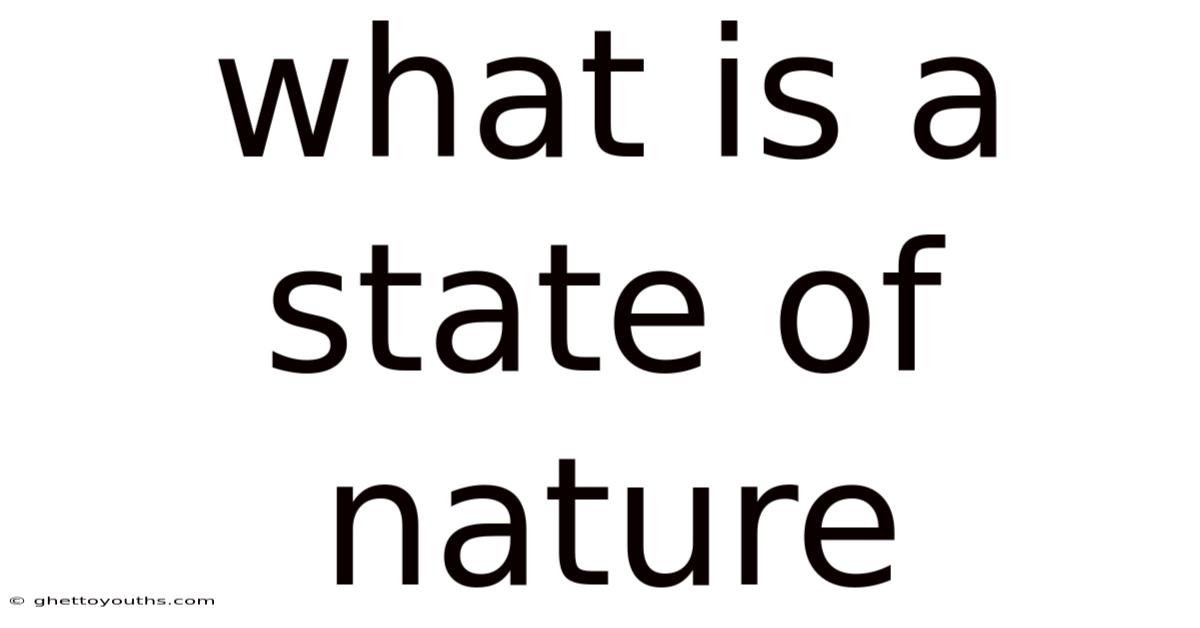 What Is A State Of Nature