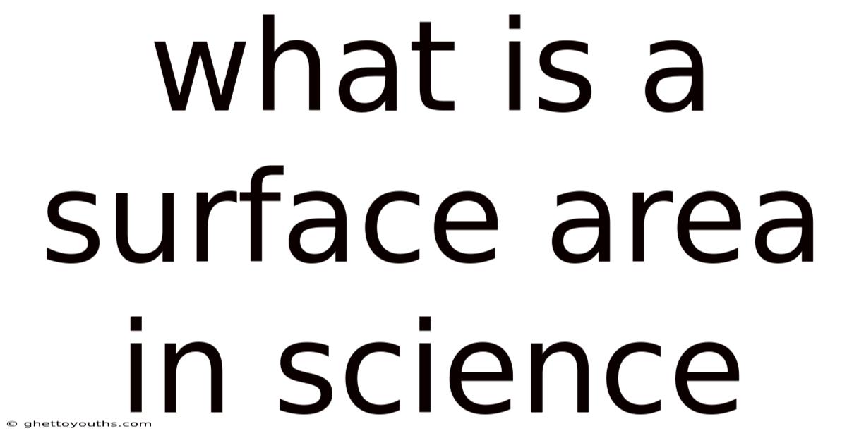 What Is A Surface Area In Science