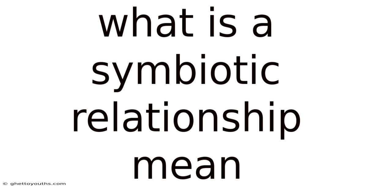What Is A Symbiotic Relationship Mean