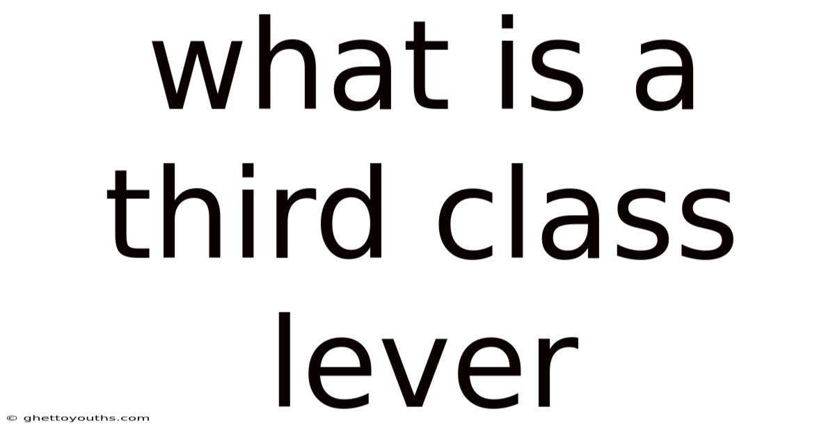 What Is A Third Class Lever