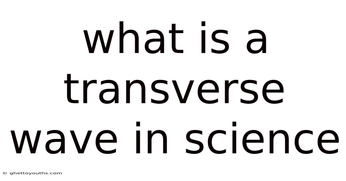 What Is A Transverse Wave In Science