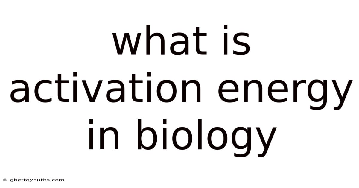 What Is Activation Energy In Biology