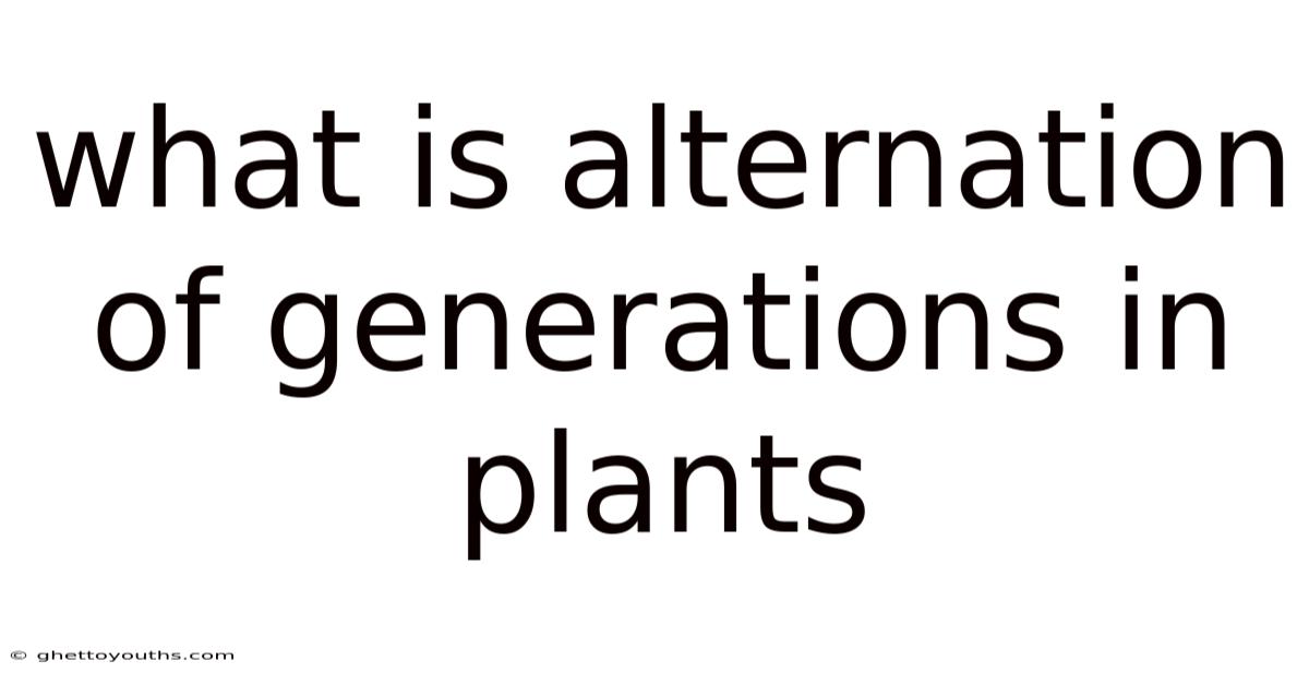 What Is Alternation Of Generations In Plants