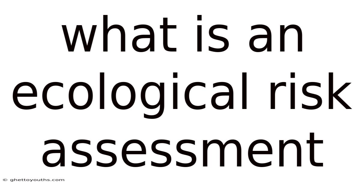 What Is An Ecological Risk Assessment