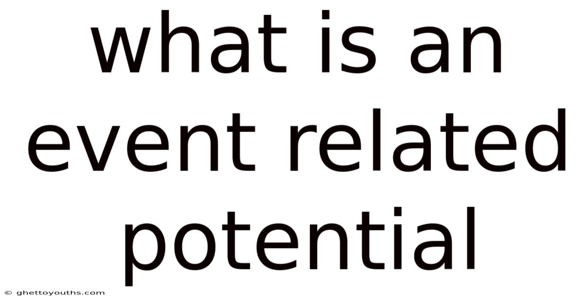 What Is An Event Related Potential