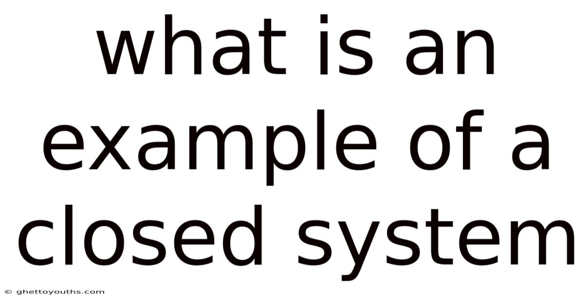 What Is An Example Of A Closed System