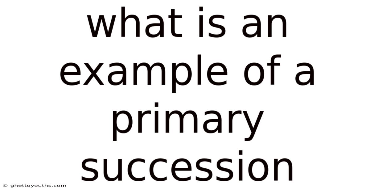 What Is An Example Of A Primary Succession