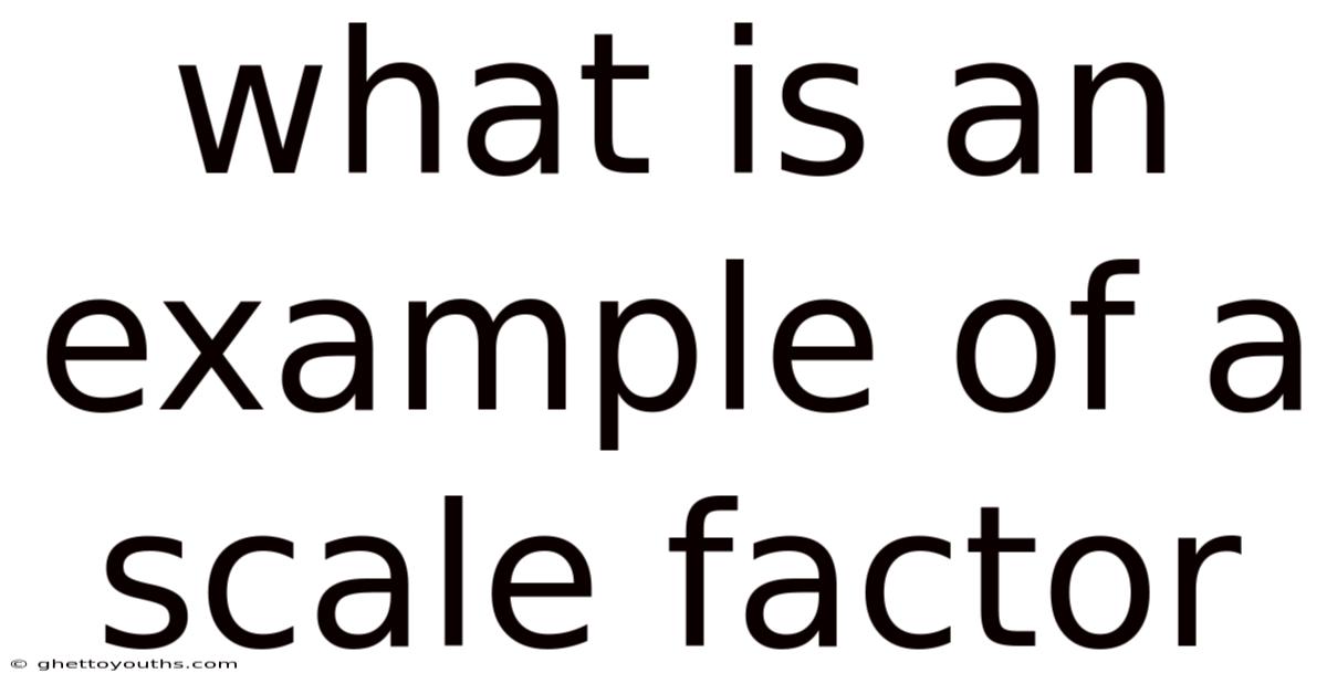 What Is An Example Of A Scale Factor