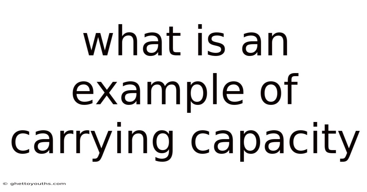 What Is An Example Of Carrying Capacity