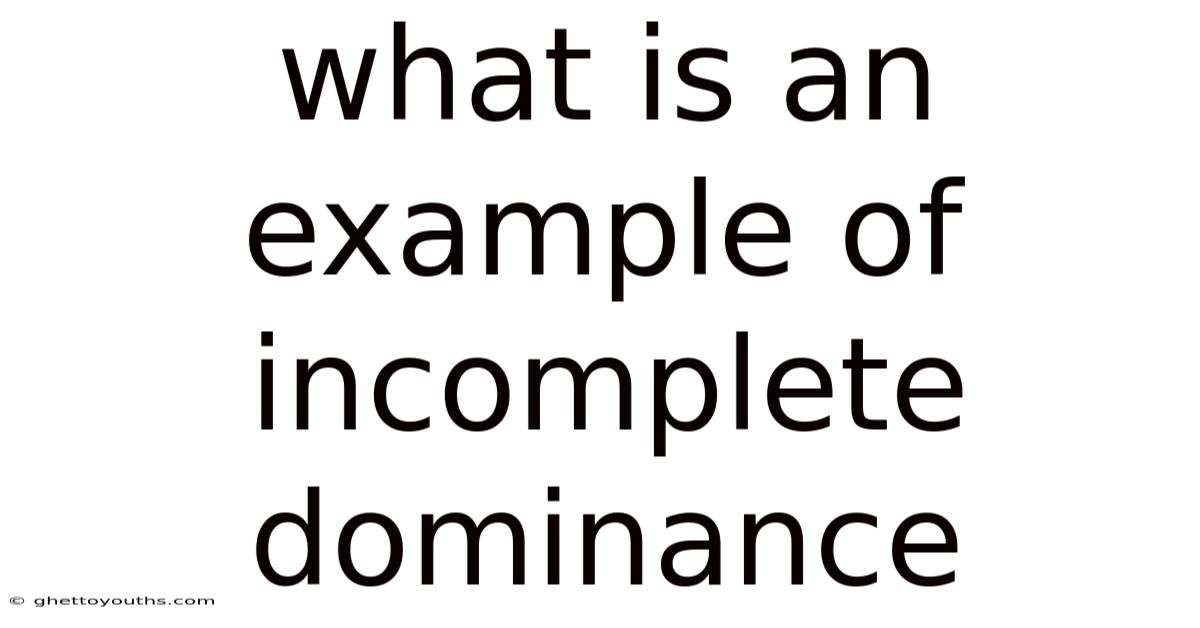 What Is An Example Of Incomplete Dominance