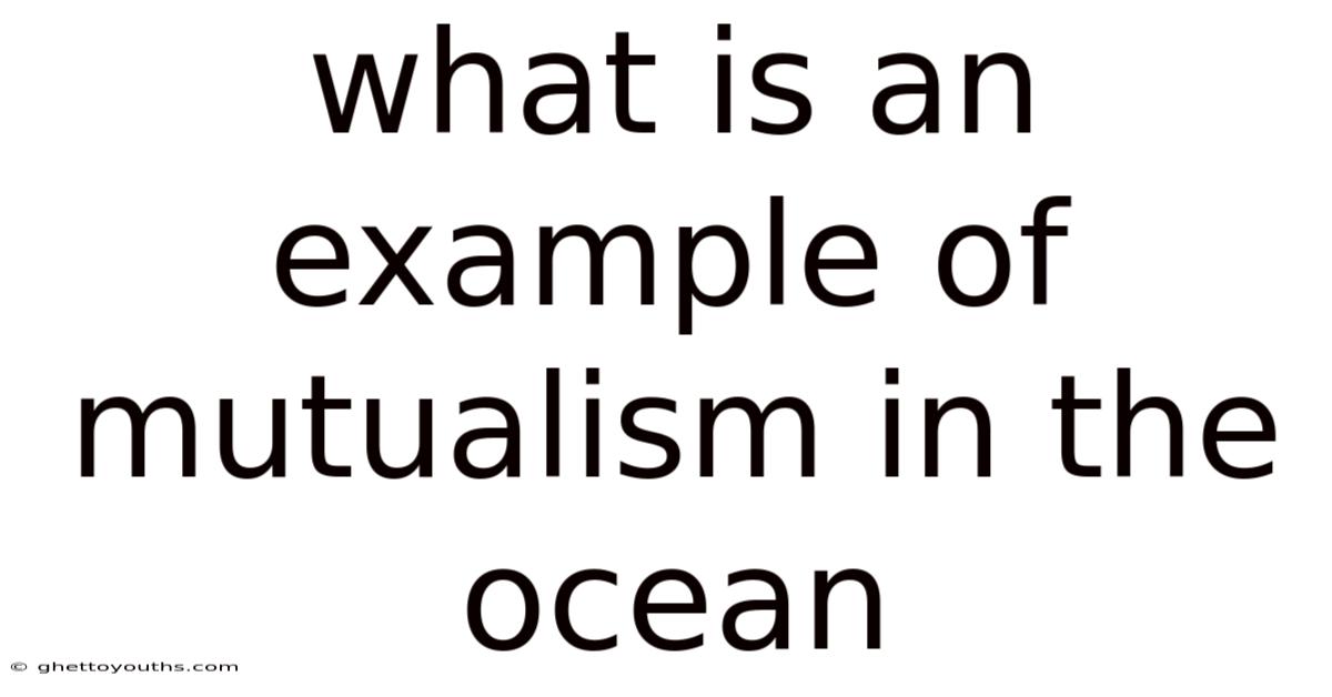 What Is An Example Of Mutualism In The Ocean