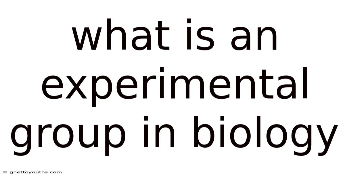 What Is An Experimental Group In Biology