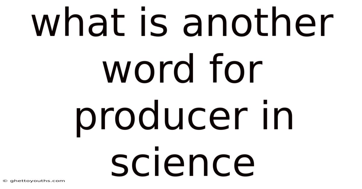 What Is Another Word For Producer In Science