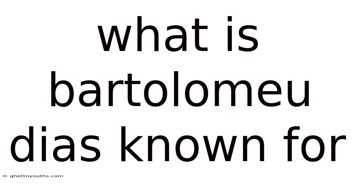 What Is Bartolomeu Dias Known For