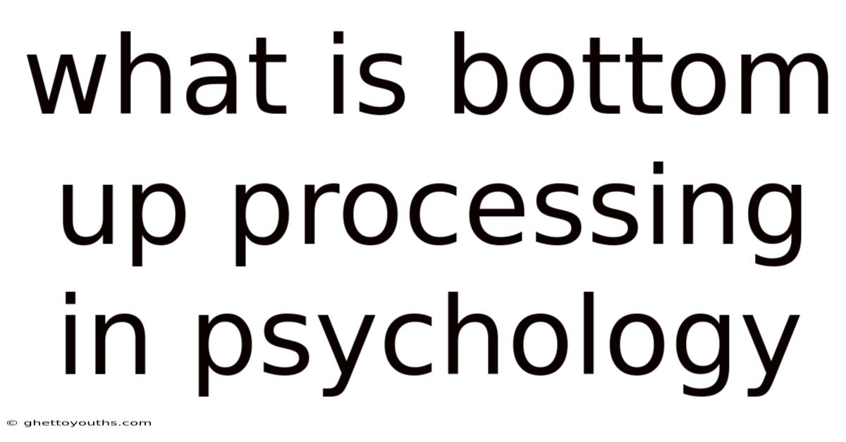 What Is Bottom Up Processing In Psychology