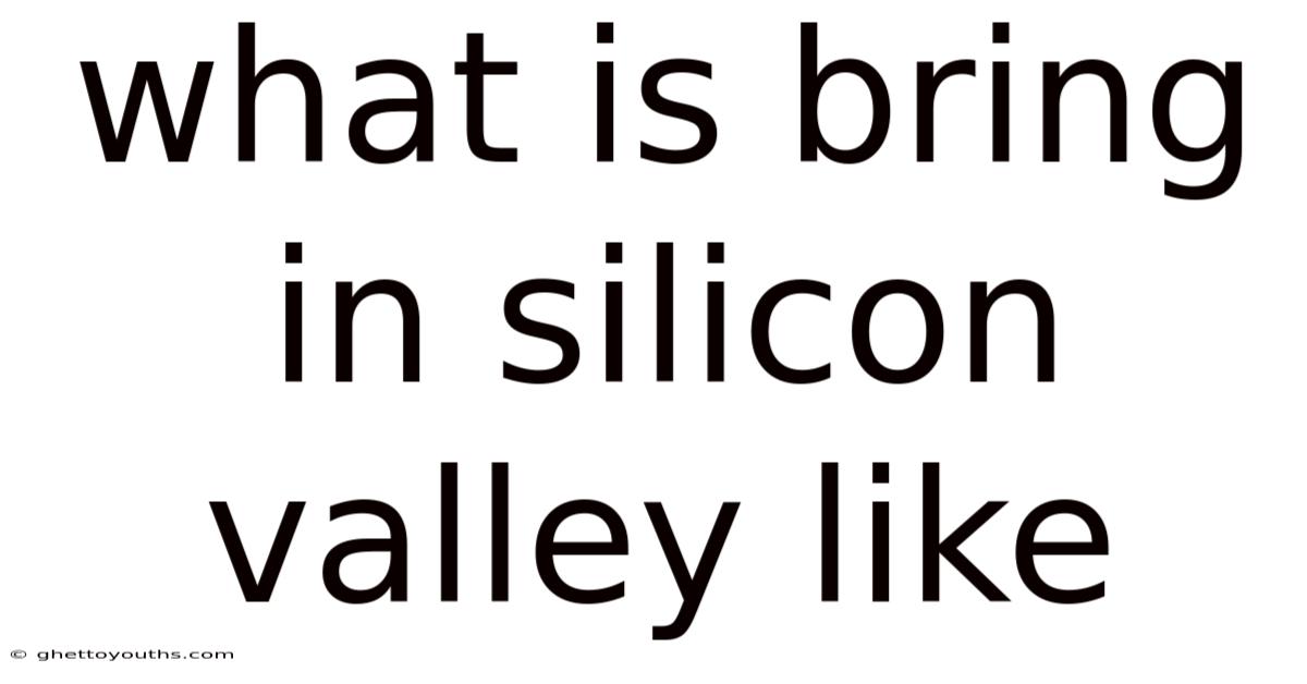 What Is Bring In Silicon Valley Like