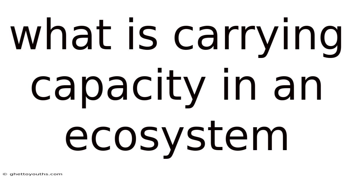 What Is Carrying Capacity In An Ecosystem