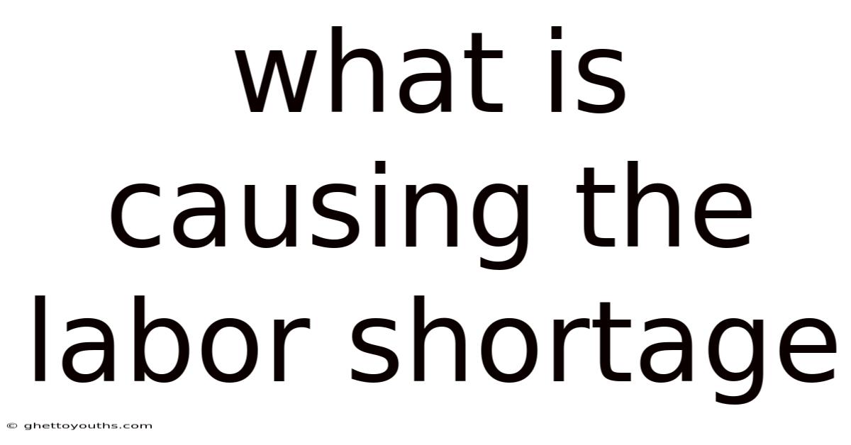 What Is Causing The Labor Shortage