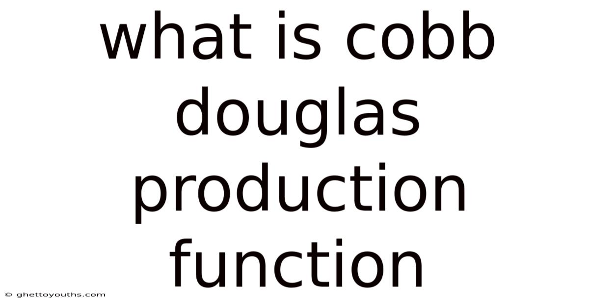 What Is Cobb Douglas Production Function