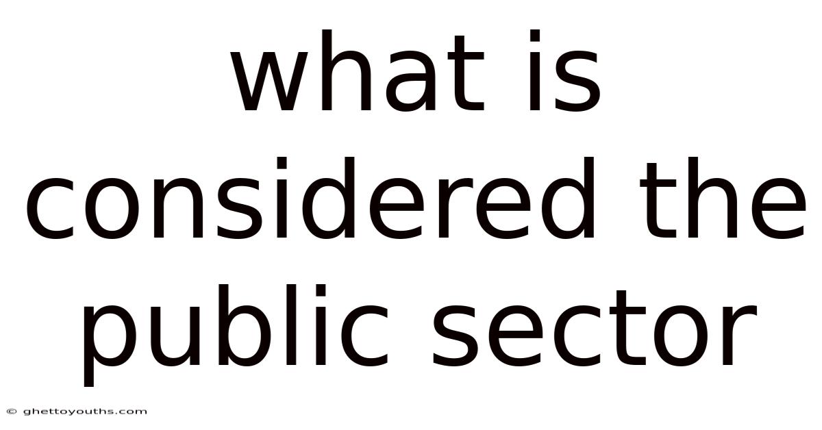 What Is Considered The Public Sector