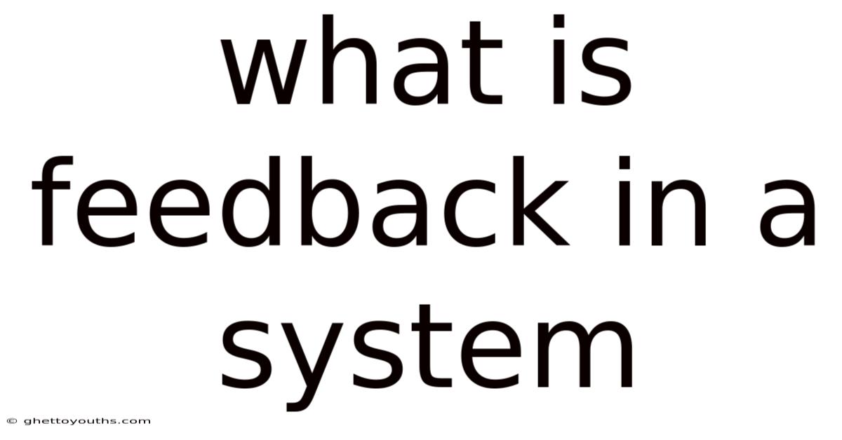 What Is Feedback In A System