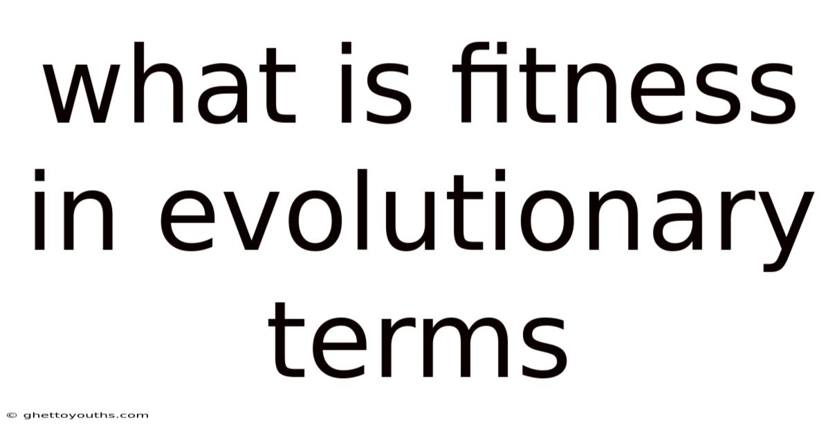 What Is Fitness In Evolutionary Terms
