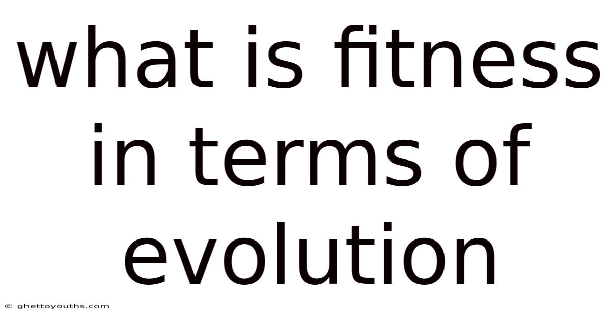 What Is Fitness In Terms Of Evolution