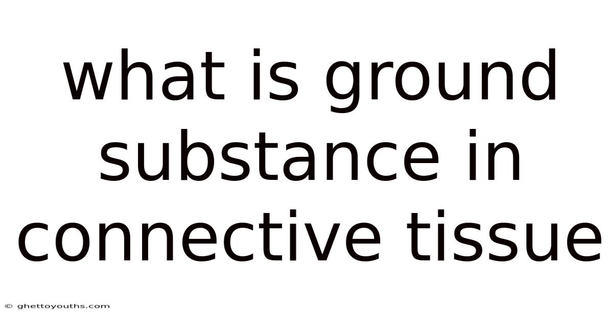 What Is Ground Substance In Connective Tissue